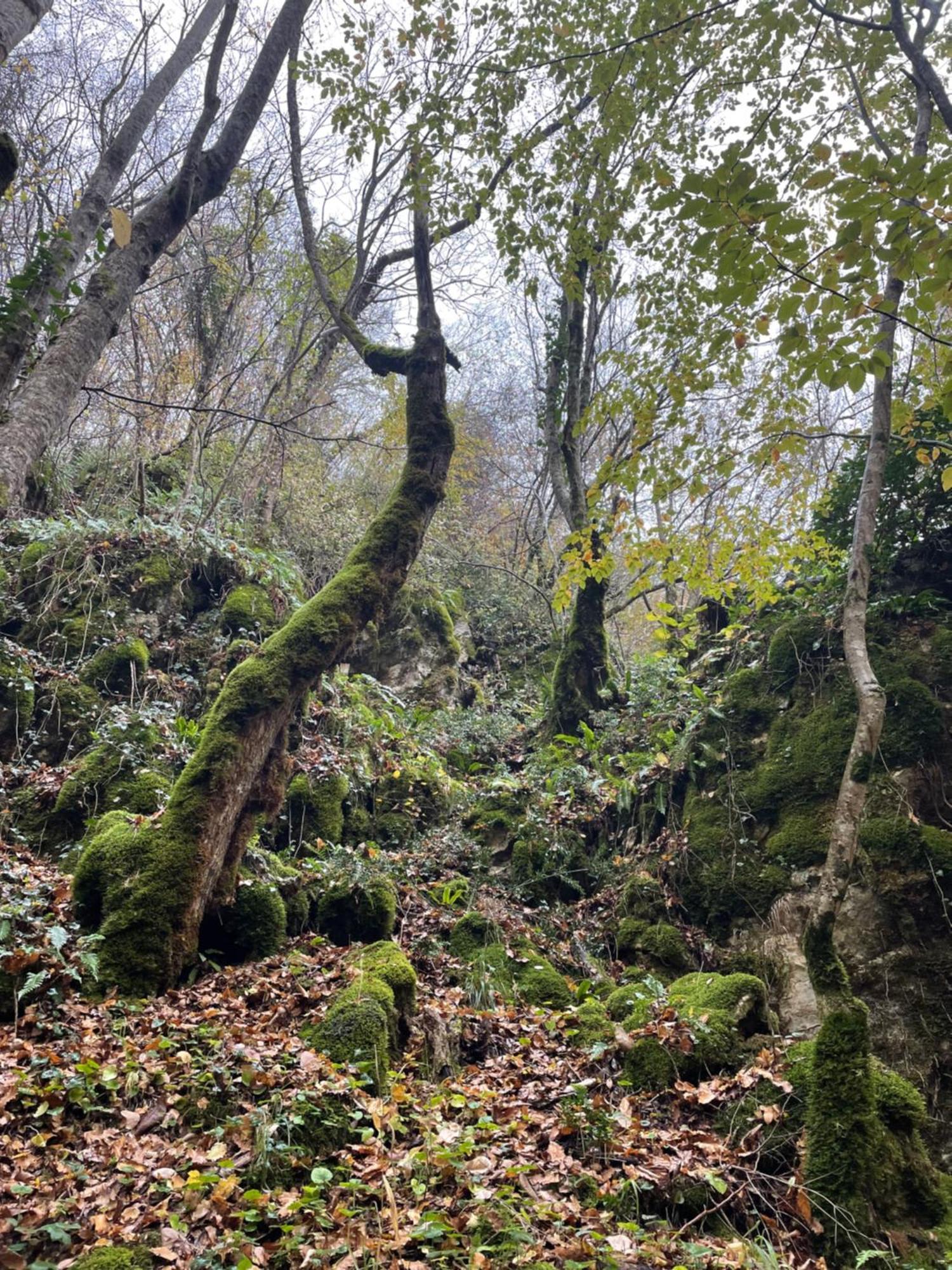 Mooie Bungalow In De Prachtige Natuur Hastiere-par-dela 외부 사진